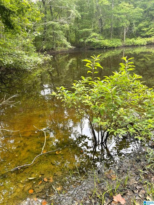 1-#1 Highway 55, VANDIVER, AL, 35176 | Card Image