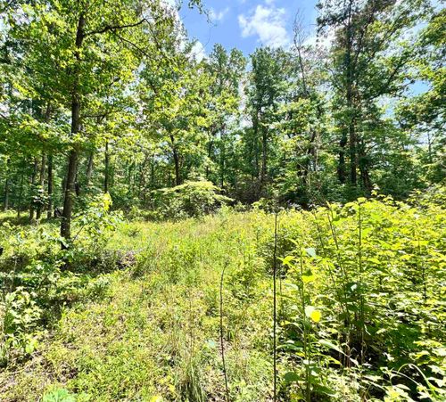 00 Meadow Creek Rd, Clinton, AR, 72031 | Card Image