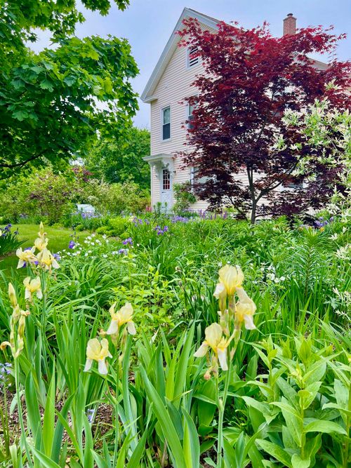 29 Spaulding St, Milford, NH, 03055-4723 | Card Image