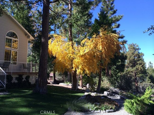 41560 Alder Dr, House other with 2 bedrooms, 3 bathrooms and 2 parking in Forest Falls CA | Image 62