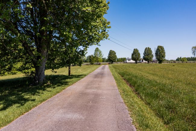 Driveway to Home | Image 12