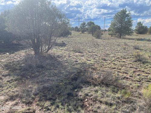 2752 Zane Grey Blvd, Overgaard, AZ, 85933-5479 | Card Image