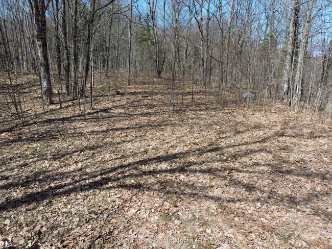 1023 Little Hawk Lake Rd, Home with 0 bedrooms, 0 bathrooms and null parking in Algonquin Highlands ON | Image 7
