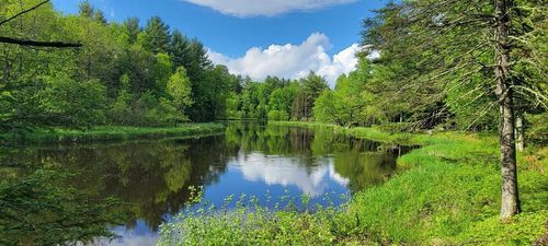 8 acres on Sugar Bush Road, EISENSTEIN, WI, 54552 | Card Image