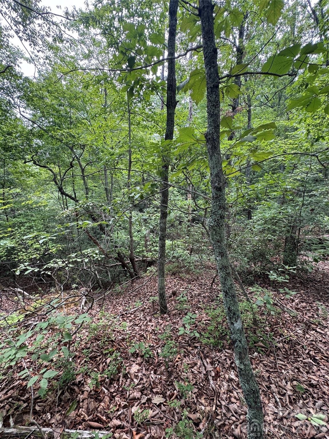 Land in Lake Lure 2