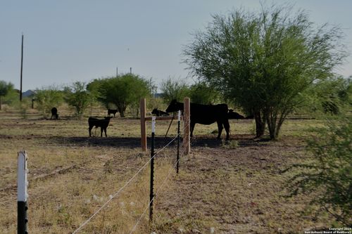 3211 County Road 301, Knippa, TX, 78870-2200 | Card Image