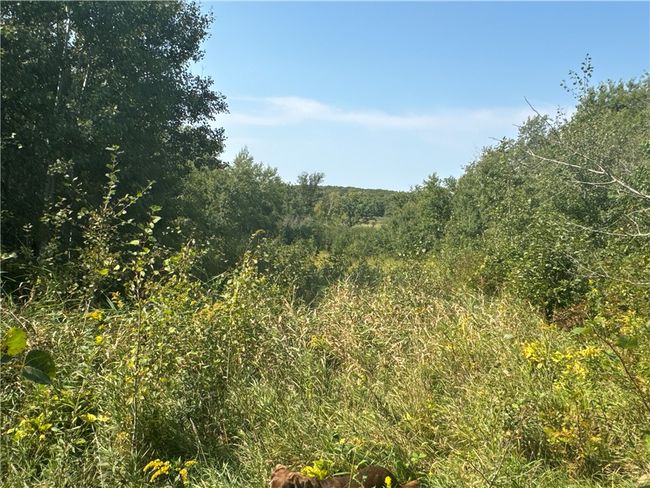 3088 110 Th St, Home with 0 bedrooms, 0 bathrooms and null parking in FREDERIC WI | Image 24