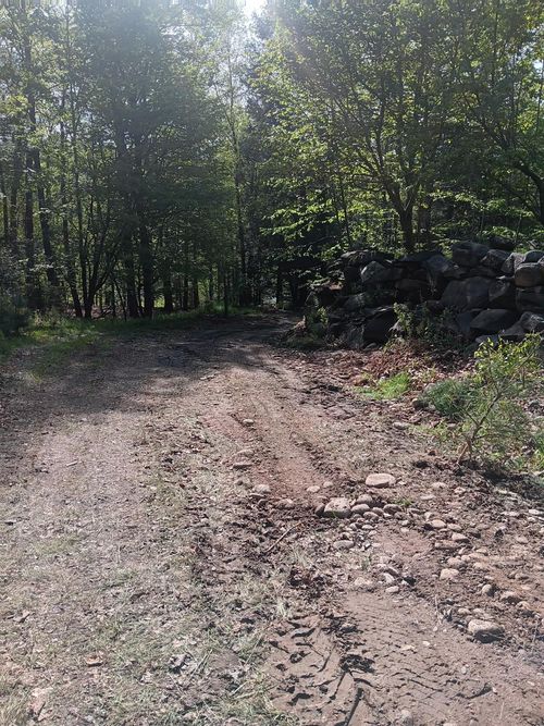 TBD Hasbrouck Tr 96 Road, Fallsburg, NY, 12788 | Card Image