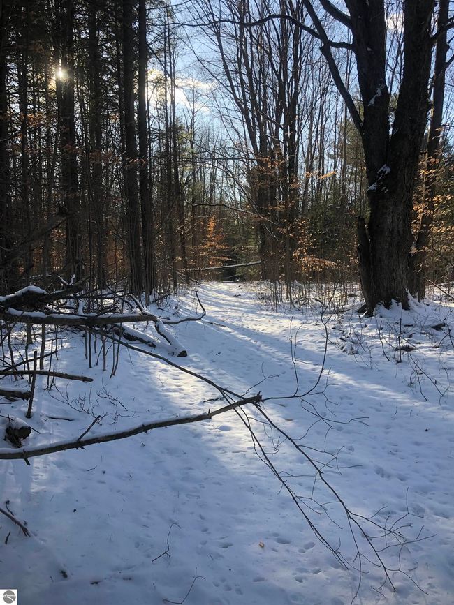 00 M 72 W, Home with 0 bedrooms, 0 bathrooms and null parking in Kalkaska MI | Image 6