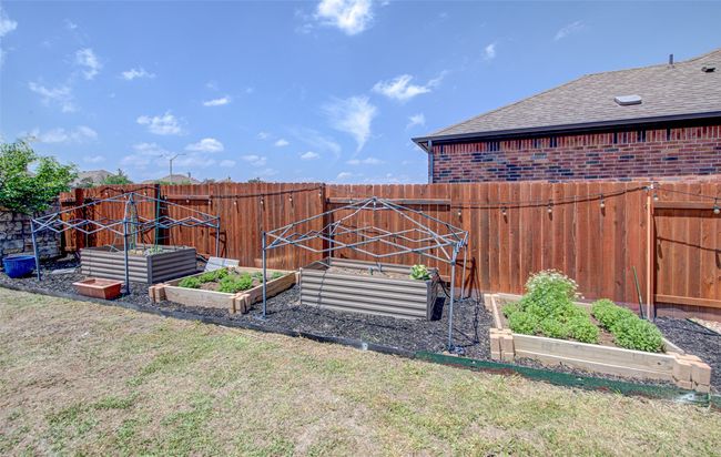 Multiple Garden beds ready for use | Image 32