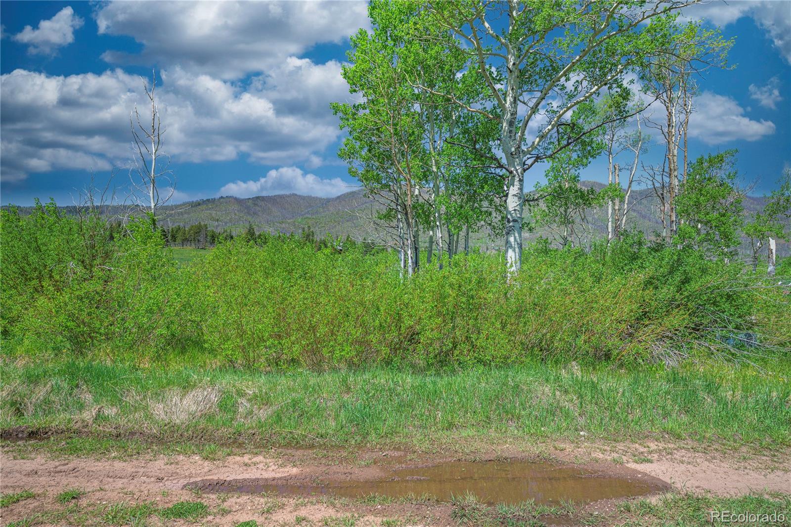 Land in La Veta 5