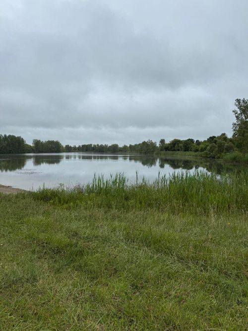 6971 Hartel Rd, Potterville, MI, 48876-8739 | Card Image