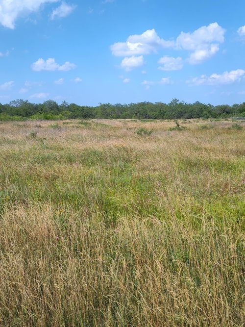 49 Boren Private Rd, Wortham, TX, 76693 | Card Image