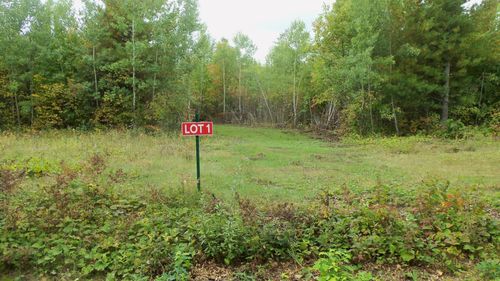 1 Beaver Dam Rd, Hertel, WI, 54845 | Card Image