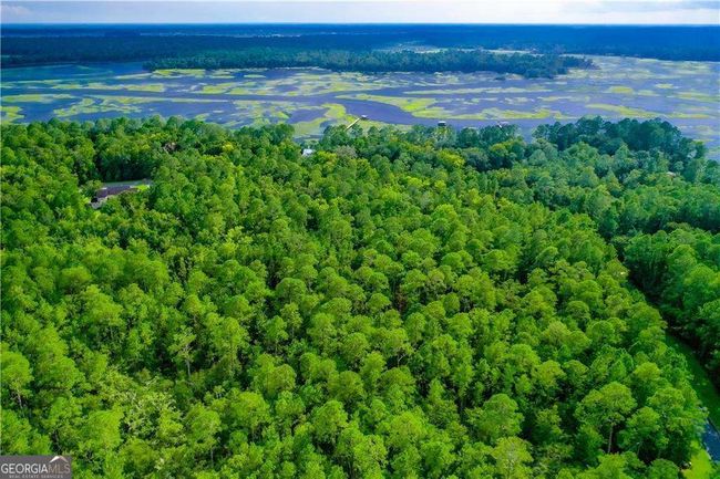LOT176 Sunrise Dr, Home with 0 bedrooms, 0 bathrooms and null parking in Woodbine GA | Image 13
