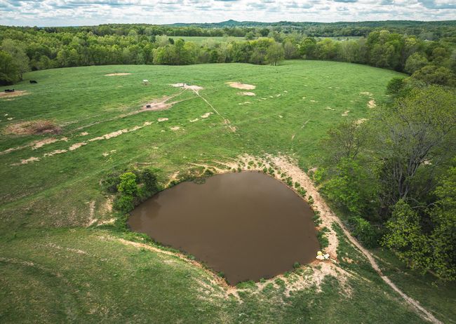 DJI_20250505141823_0050_D | Image 14