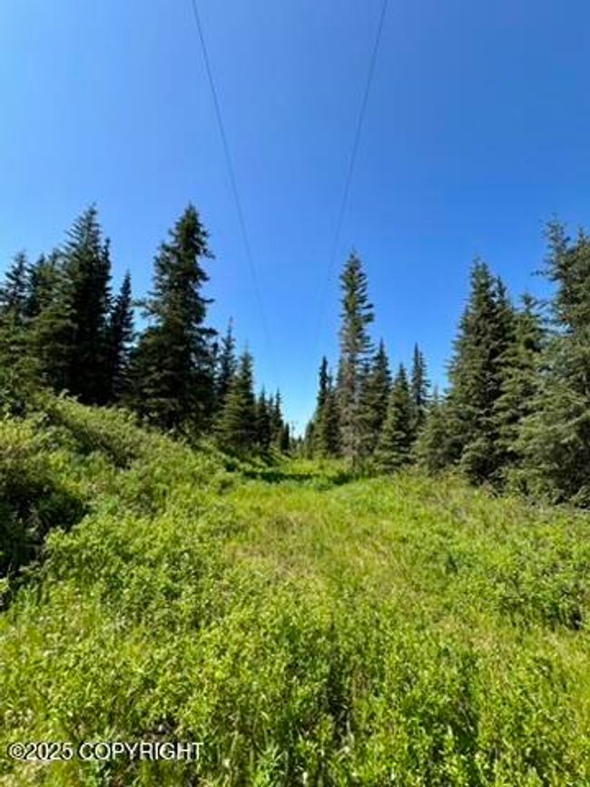 Powerline trail | Image 4