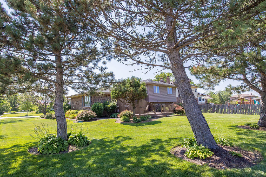 Residential in Tinley Park 2