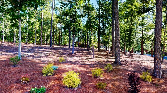 243 Walton Heath Way, House other with 4 bedrooms, 4 bathrooms and null parking in Aiken SC | Image 64