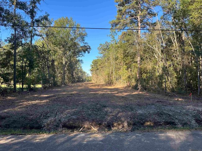 26.85 Acres Heritage Acres Ln, Home with 0 bedrooms, 0 bathrooms and null parking in Robert LA | Image 5