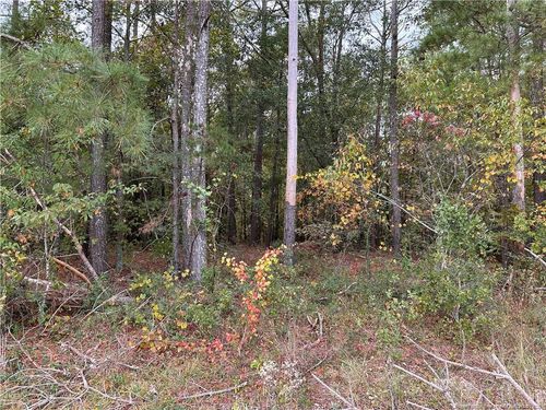 Lot 1 Midway Rd, Rowland, NC, 28383-9169 | Card Image