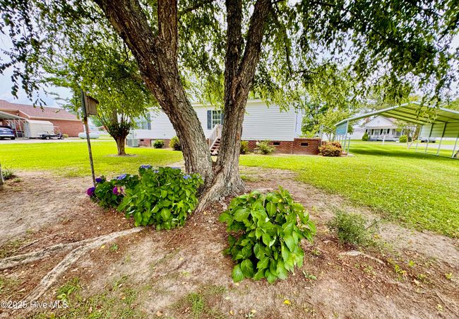 1803 Liddell Rd, House other with 3 bedrooms, 2 bathrooms and null parking in Deep Run NC | Image 60