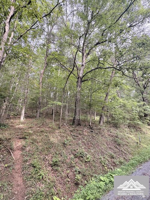 0 W Clayton Rd, Talcott, WV, 24981 | Card Image
