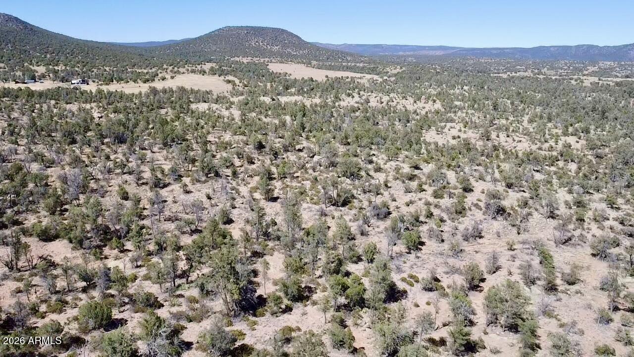 Land in Young