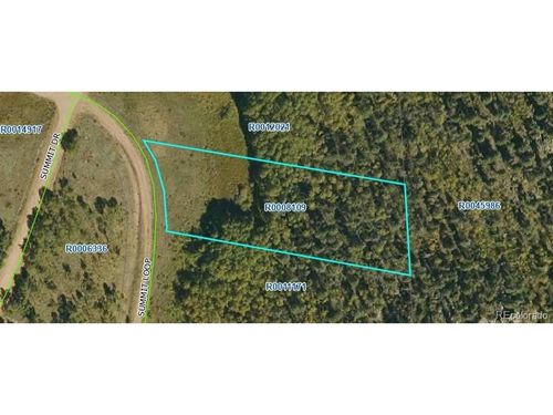 266 Summit Loop, FLORISSANT, CO, 80816 | Card Image