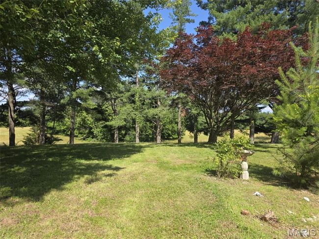 View of grassy yard | Image 18