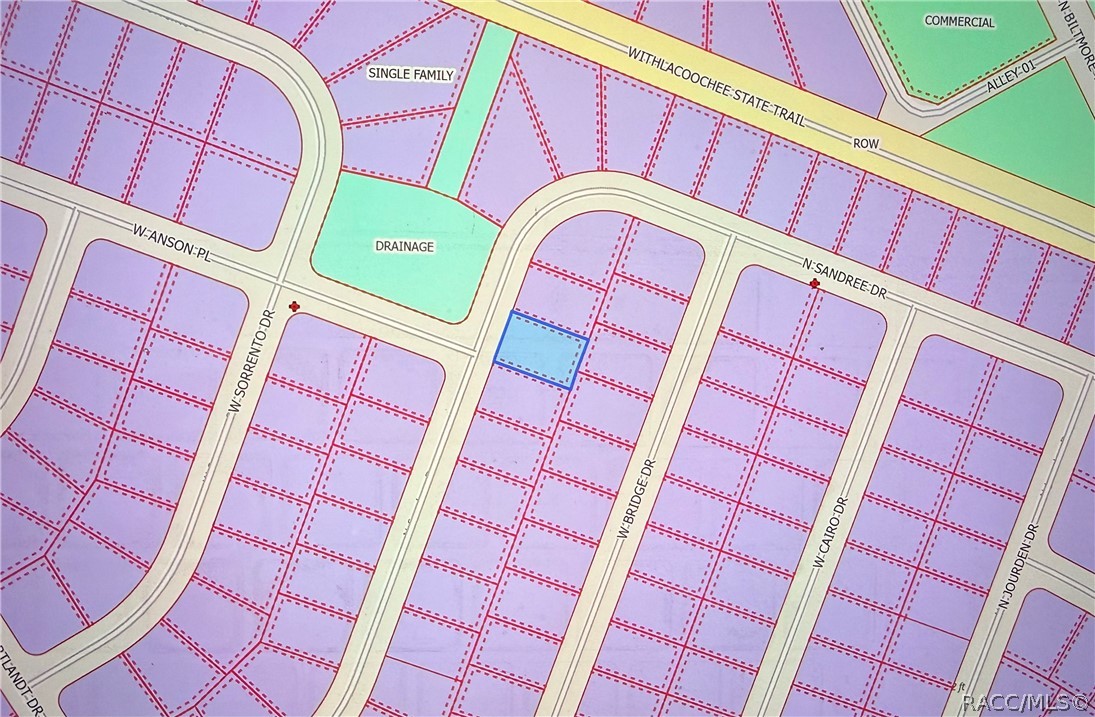 Land in Citrus Springs 5