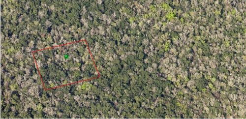 000 Reed Grove Rd, Oak Hill, FL, 32759 | Card Image