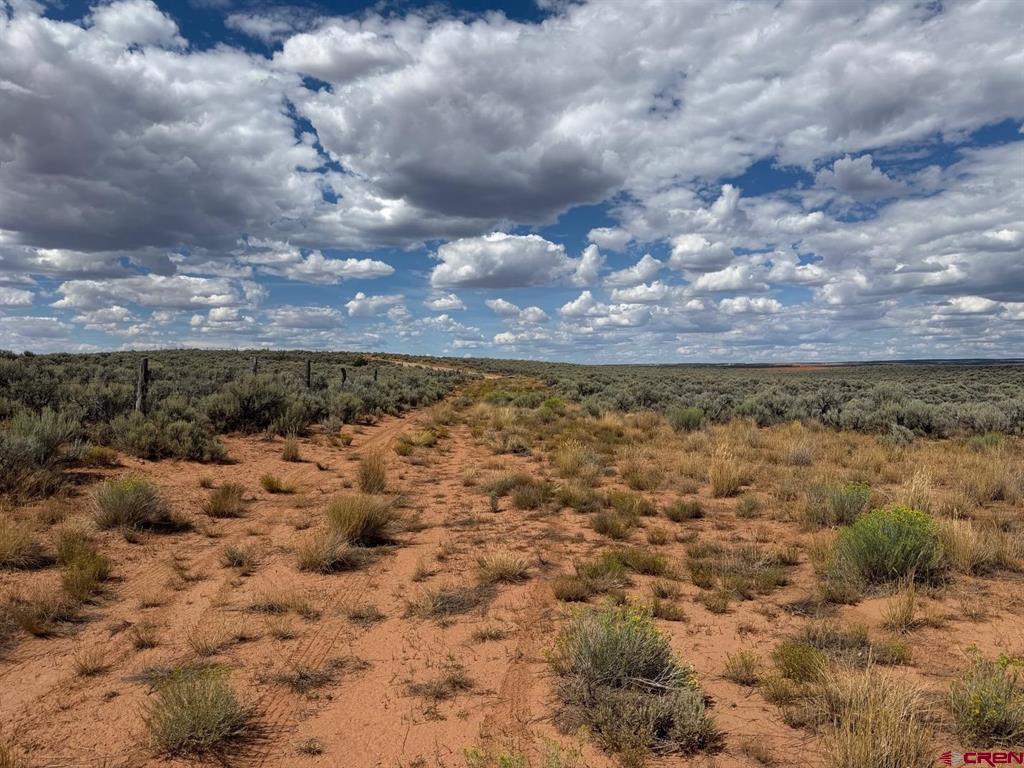Land in Dove Creek 5