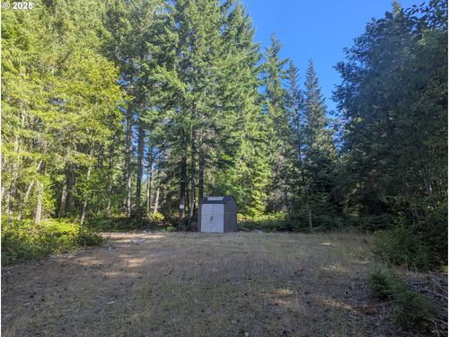 30 Nymark Dr, Cougar, WA, 98616 | Card Image