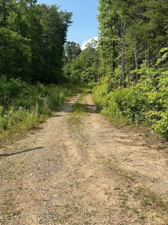 16 Ac Campbell Cove Creek Rd, Home with 0 bedrooms, 0 bathrooms and null parking in Turtletown TN | Image 11