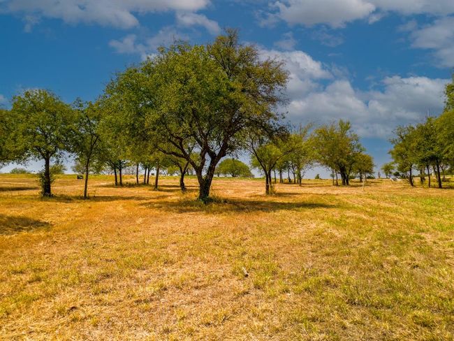 lot 30/31 Woodland Road, Home with 0 bedrooms, 0 bathrooms and null parking in Weatherford TX | Image 13