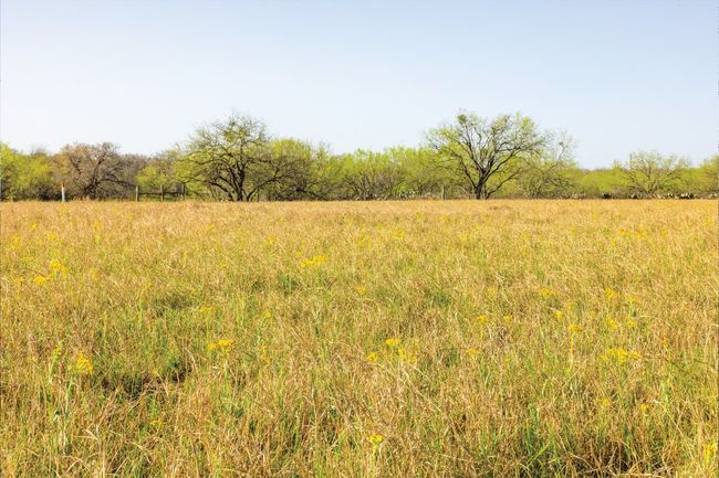 343 Batey Rd, Home with 3 bedrooms, 2 bathrooms and null parking in Nixon TX | Image 36