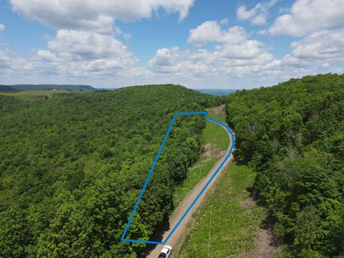 TBD Lick Fork Rd, Witts Springs, AR, 72686 | Card Image
