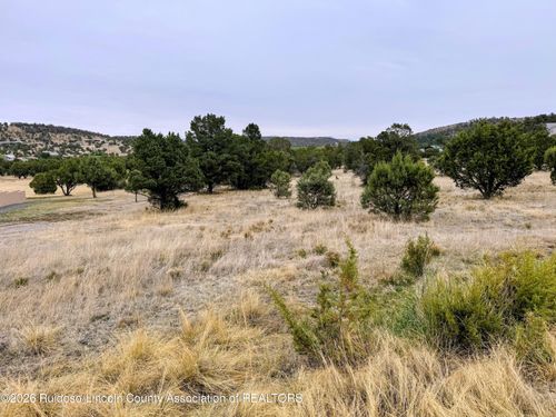 205 Saddleback Rd, Alto, NM, 88312-9512 | Card Image