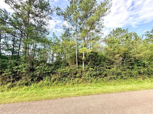 Lot1-B 4ac Lee Road, Franklinton, LA, 70438 | Card Image