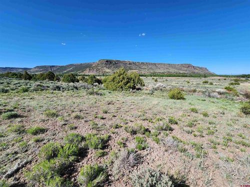 Lot 10 Conejos Acres Cir, Antonito, CO, 81120-9027 | Card Image