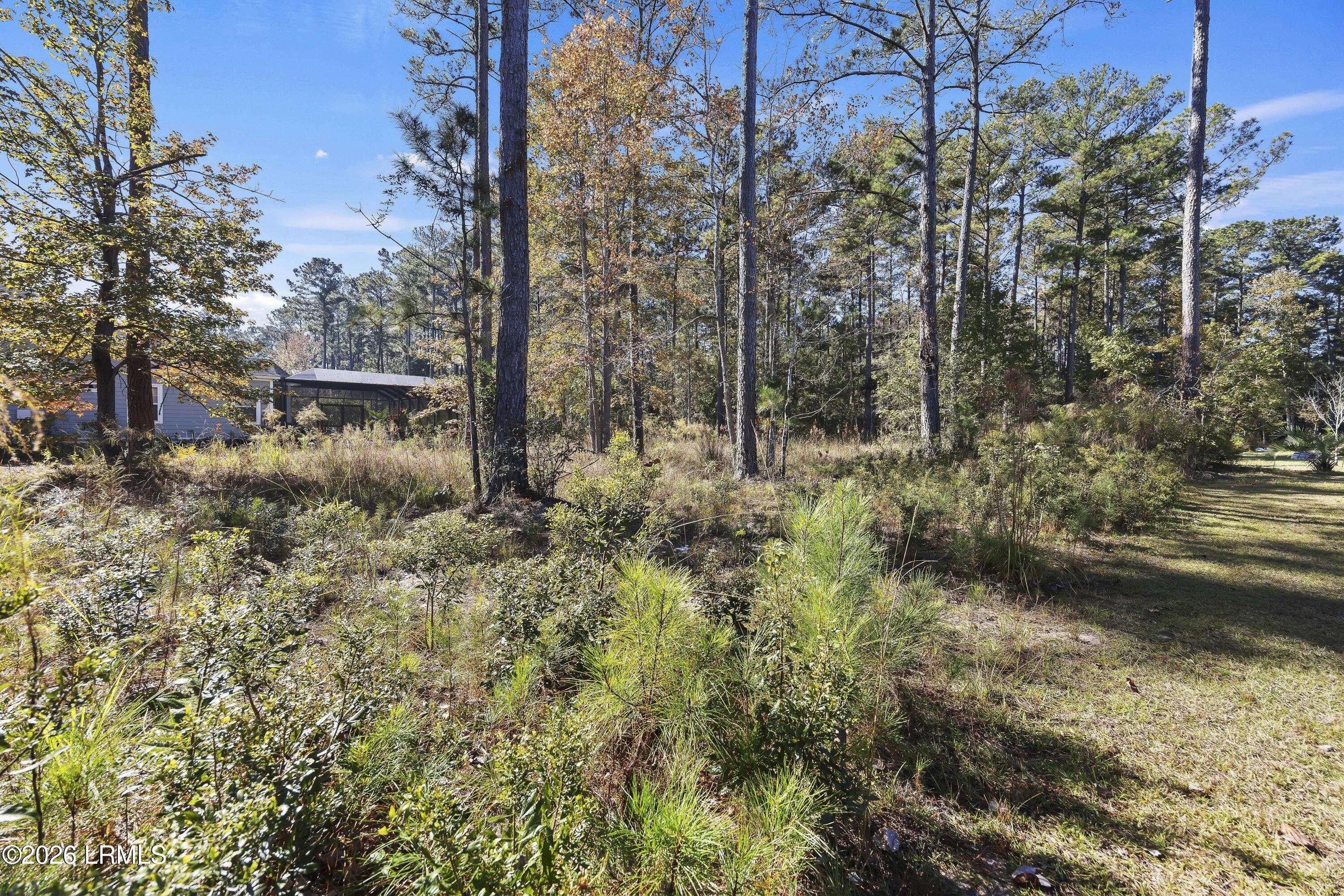 Land in Hardeeville 4