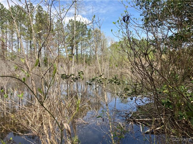 Water view | Image 9