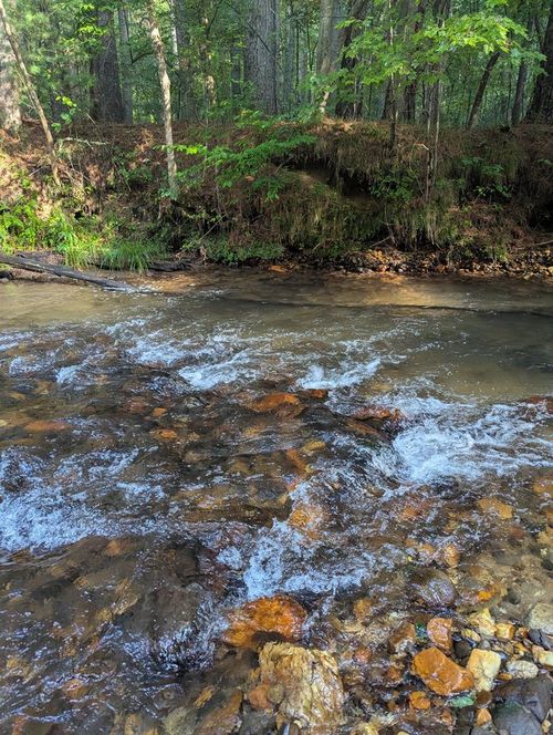 86 Tipton Ct, Cherry Log, GA, 30522-3344 | Card Image