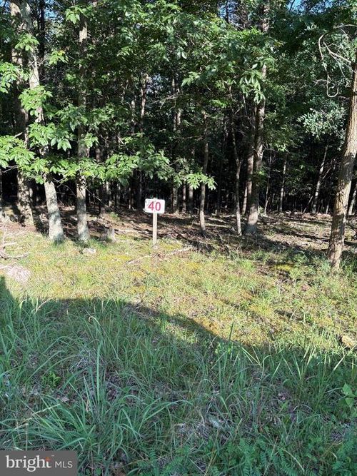 Lot 40 Berenger Rd, PETERSBURG, WV, 26847-8196 | Card Image
