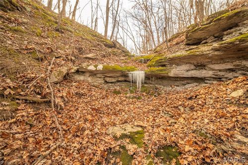 00 Collins R Collins Rd, Bellflower, MO, 63333 | Card Image