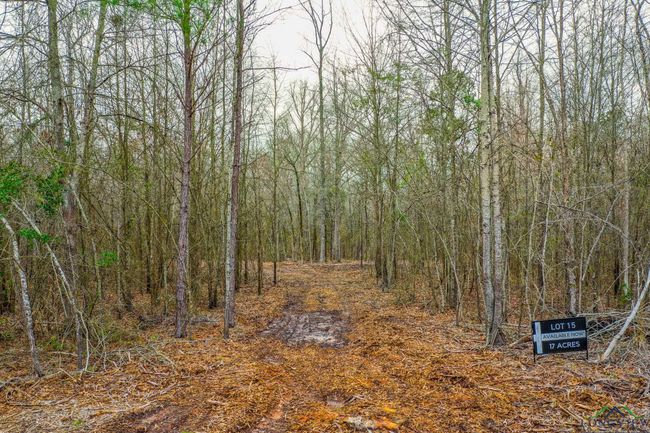 00 Mistletoe Rd, Home with 0 bedrooms, 0 bathrooms and null parking in Gilmer TX | Image 8