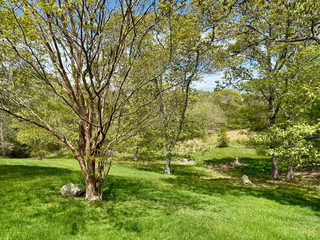 C - 19-C Old Woods Rd, House other with 4 bedrooms, 3 bathrooms and null parking in Chilmark MA | Image 32