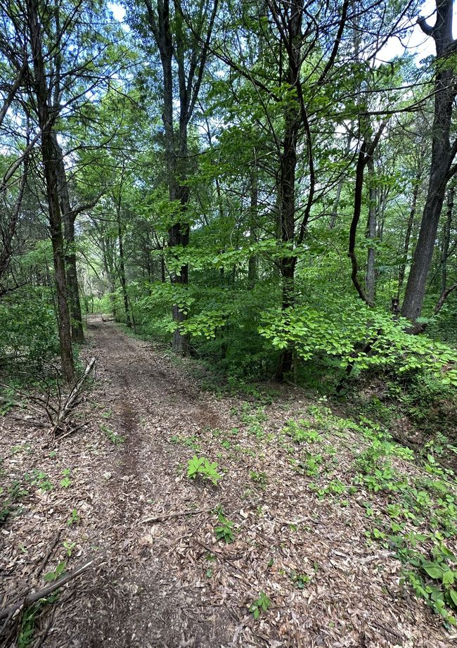 66 Thompson Hollow Rd, Home with 0 bedrooms, 0 bathrooms and null parking in Taft TN | Image 6