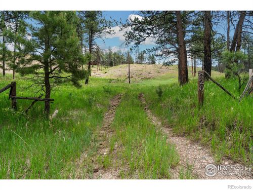 620 Davis Ranch Road, Bellvue, CO, 80512 | Card Image